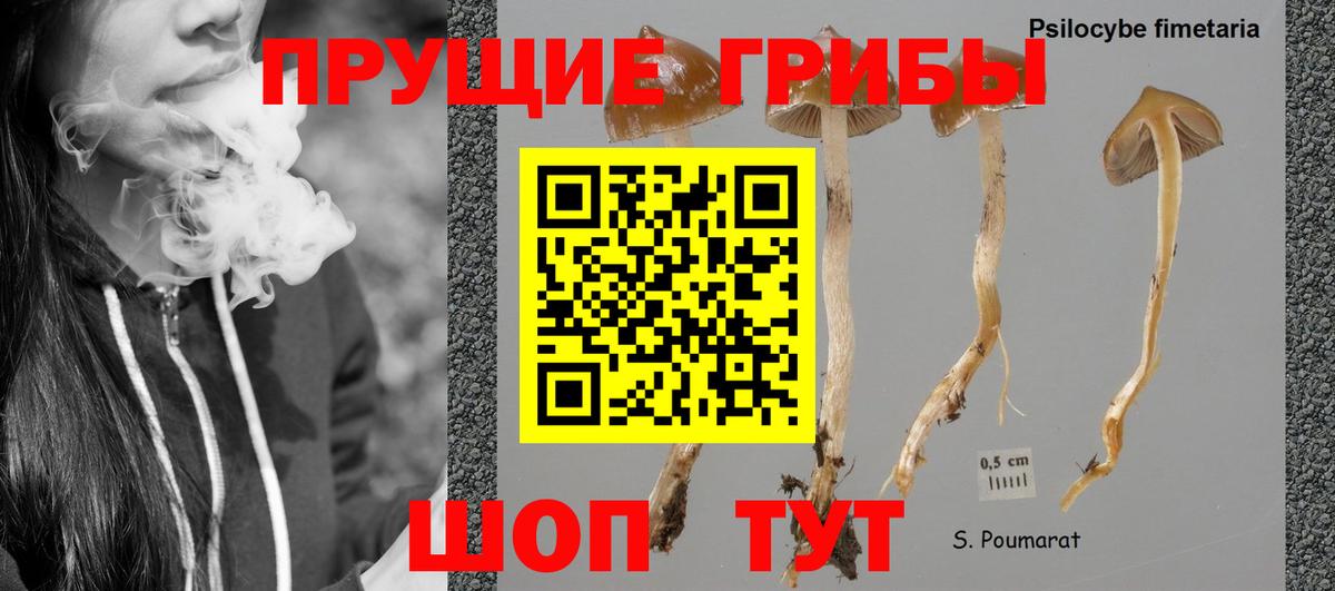 сколько стоит  Галлюциногенные грибы прущие грибы  Узловая  Вход с VPN  Галлюциногенные грибы Magic Shrooms 